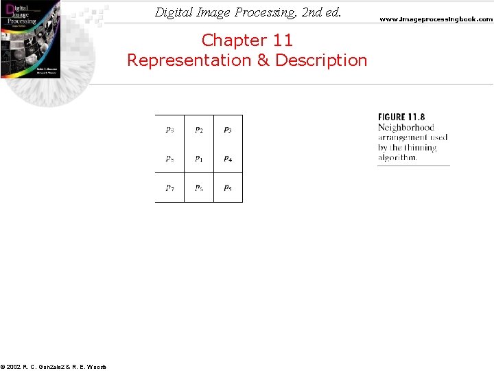 Digital Image Processing, 2 nd ed. Chapter 11 Representation & Description © 2002 R.