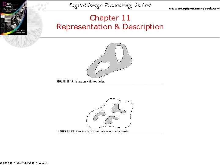 Digital Image Processing, 2 nd ed. Chapter 11 Representation & Description © 2002 R.