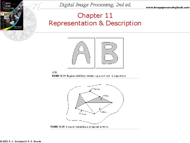 Digital Image Processing, 2 nd ed. Chapter 11 Representation & Description © 2002 R.