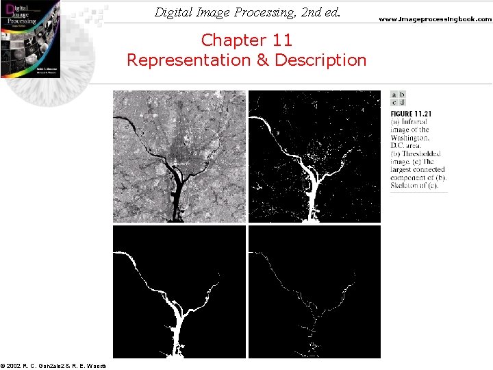 Digital Image Processing, 2 nd ed. Chapter 11 Representation & Description © 2002 R.