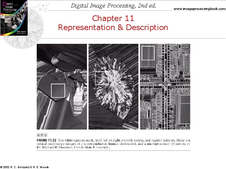 Digital Image Processing, 2 nd ed. Chapter 11 Representation & Description © 2002 R.