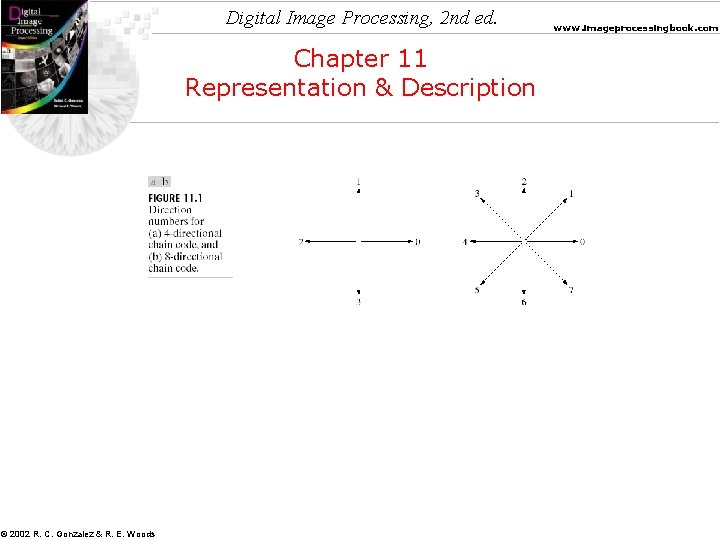 Digital Image Processing, 2 nd ed. Chapter 11 Representation & Description © 2002 R.