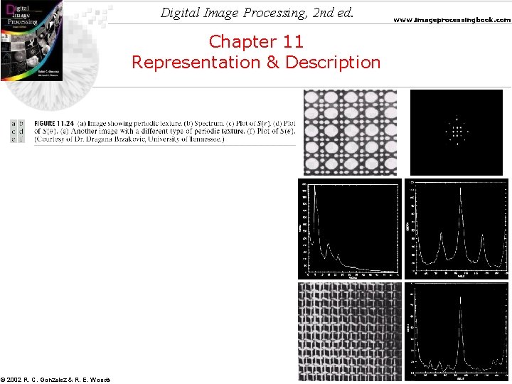 Digital Image Processing, 2 nd ed. Chapter 11 Representation & Description © 2002 R.