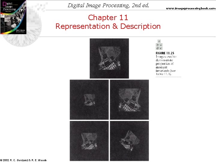 Digital Image Processing, 2 nd ed. Chapter 11 Representation & Description © 2002 R.