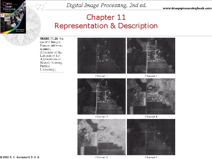 Digital Image Processing, 2 nd ed. Chapter 11 Representation & Description © 2002 R.