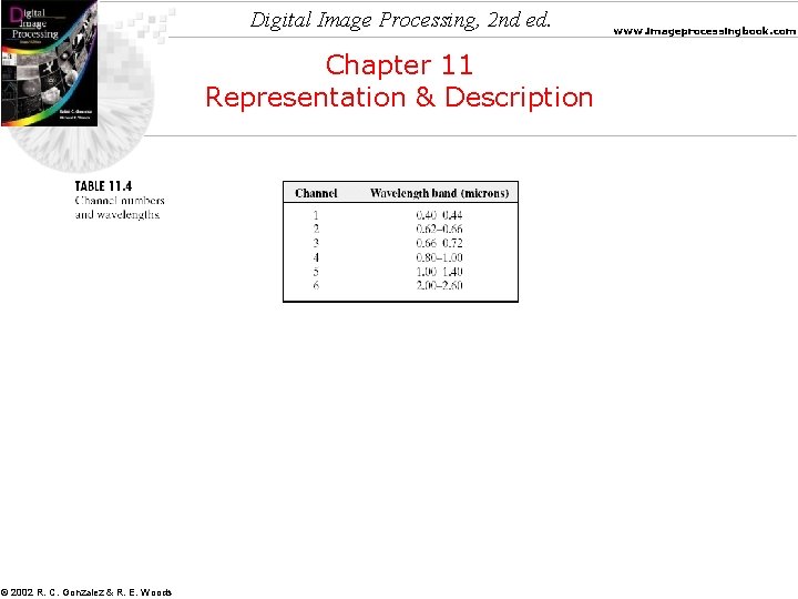 Digital Image Processing, 2 nd ed. Chapter 11 Representation & Description © 2002 R.