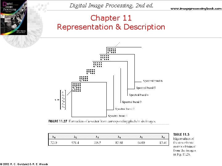 Digital Image Processing, 2 nd ed. Chapter 11 Representation & Description © 2002 R.