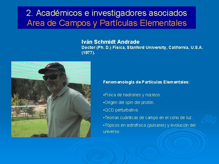 2. Académicos e investigadores asociados Area de Campos y Partículas Elementales Iván Schmidt Andrade