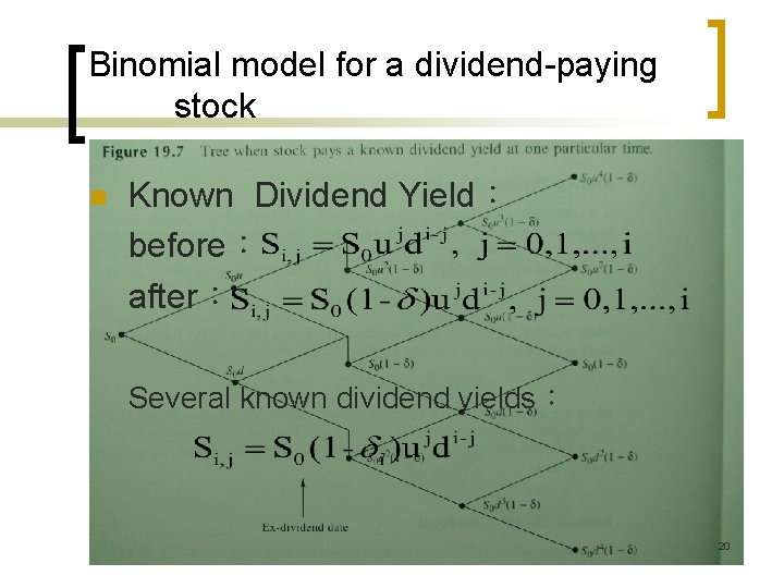 Binomial model for a dividend-paying stock n Known Dividend Yield: before: after: Several known Binomial model for a dividend-paying stock n Known Dividend Yield: before: after: Several known