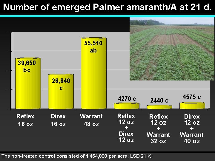 Number of emerged Palmer amaranth/A at 21 d. 55, 510 ab 39, 650 bc