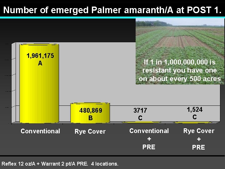 Number of emerged Palmer amaranth/A at POST 1. 1, 961, 175 A If 1