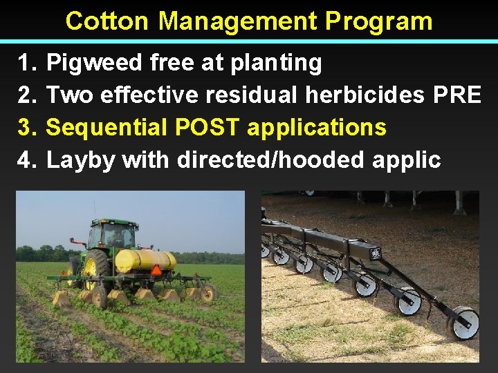 Cotton Management Program 1. 2. 3. 4. Pigweed free at planting Two effective residual