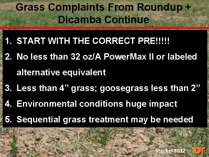 Grass Complaints From Roundup + Dicamba Continue 1. START WITH THE CORRECT PRE!!!!! 2.