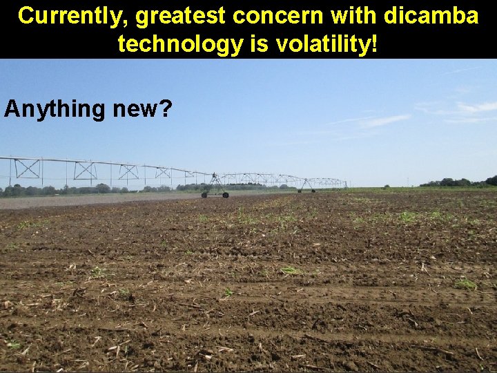 Currently, greatest concern with dicamba technology is volatility! Anything new? 