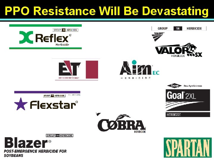 PPO Resistance Will Be Devastating 