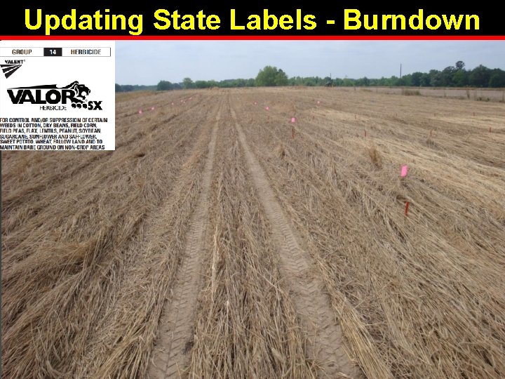 Updating State Labels - Burndown 