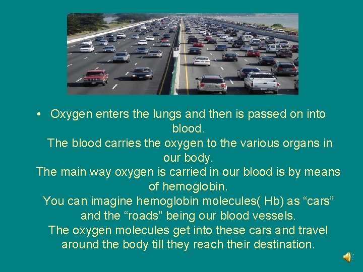  • Oxygen enters the lungs and then is passed on into blood. The