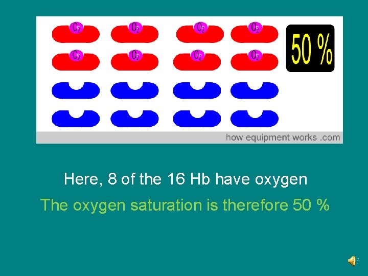 Here, 8 of the 16 Hb have oxygen The oxygen saturation is therefore 50