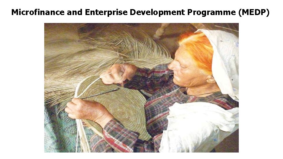 Microfinance and Enterprise Development Programme (MEDP) 