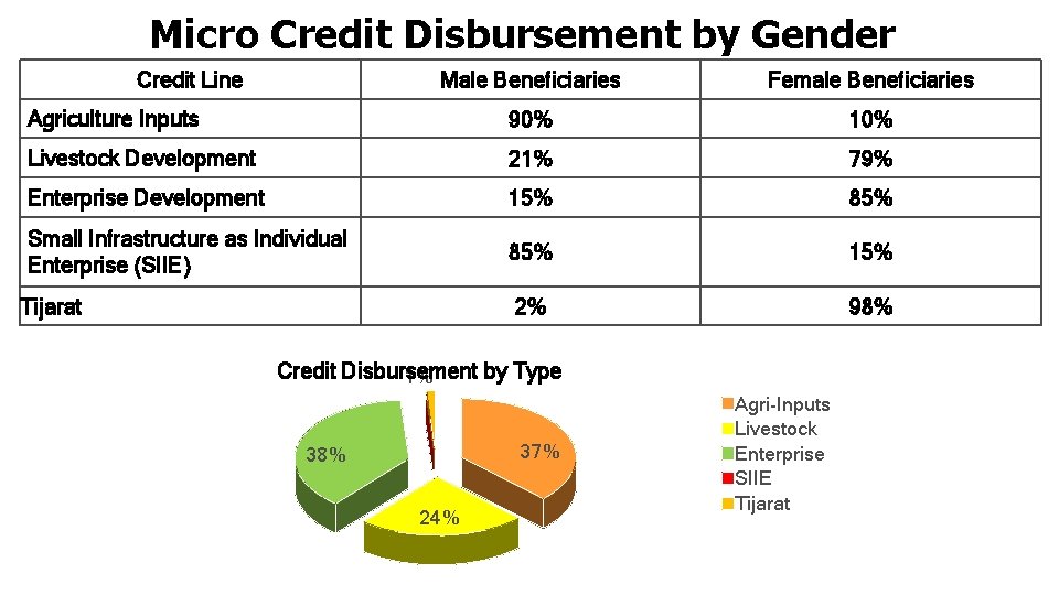 Micro Credit Disbursement by Gender Credit Line Male Beneficiaries Female Beneficiaries Agriculture Inputs 90%