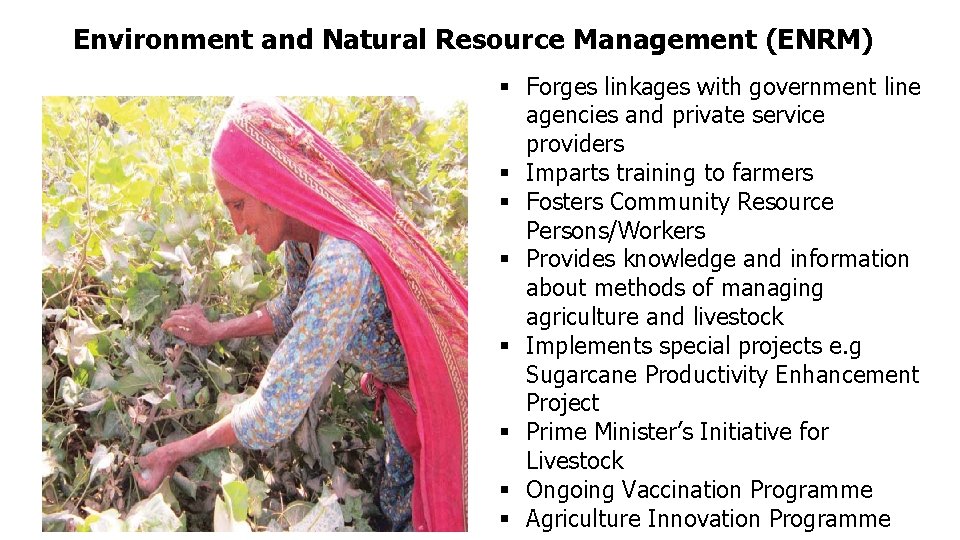 Environment and Natural Resource Management (ENRM) § Forges linkages with government line agencies and