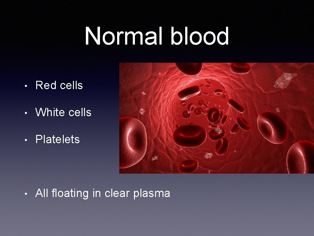 Normal blood • Red cells • White cells • Platelets • All floating in