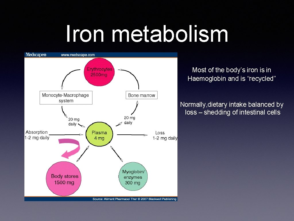 Iron metabolism Most of the body’s iron is in Haemoglobin and is “recycled” Normally,