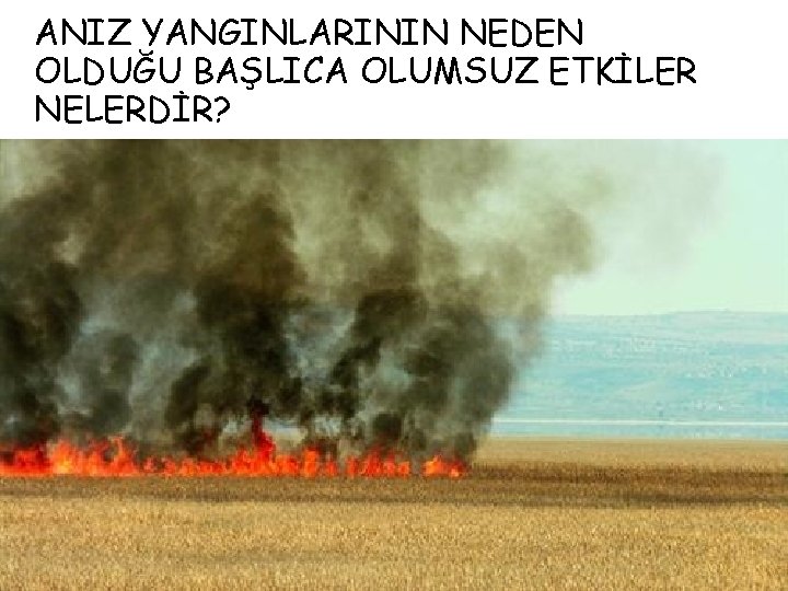 ANIZ YANGINLARININ NEDEN OLDUĞU BAŞLICA OLUMSUZ ETKİLER NELERDİR? 