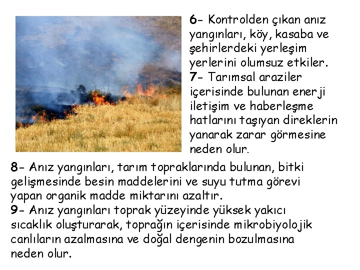 6 - Kontrolden çıkan anız yangınları, köy, kasaba ve şehirlerdeki yerleşim yerlerini olumsuz etkiler.
