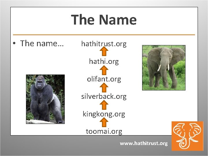 The Name • The name… hathitrust. org hathi. org olifant. org silverback. org kingkong.