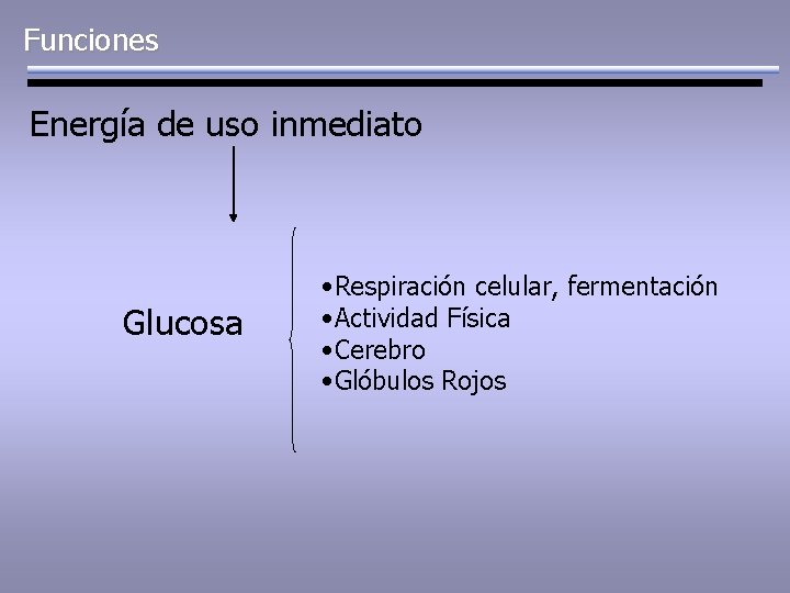 Funciones Energía de uso inmediato Glucosa • Respiración celular, fermentación • Actividad Física •