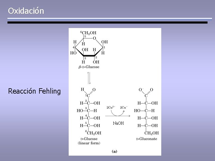 Oxidación Reacción Fehling Na. OH 