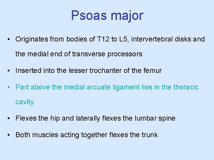 Psoas major • Originates from bodies of T 12 to L 5, intervertebral disks