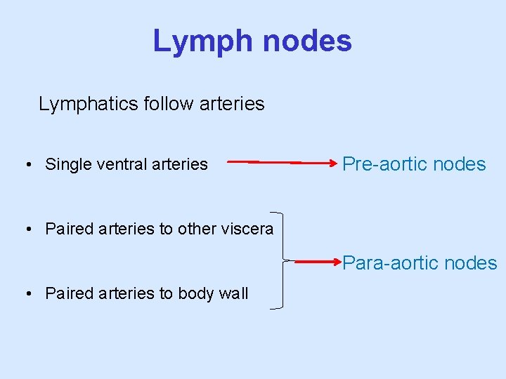 Lymph nodes Lymphatics follow arteries • Single ventral arteries Pre-aortic nodes • Paired arteries