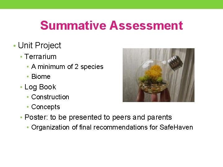 Summative Assessment • Unit Project • Terrarium • A minimum of 2 species •