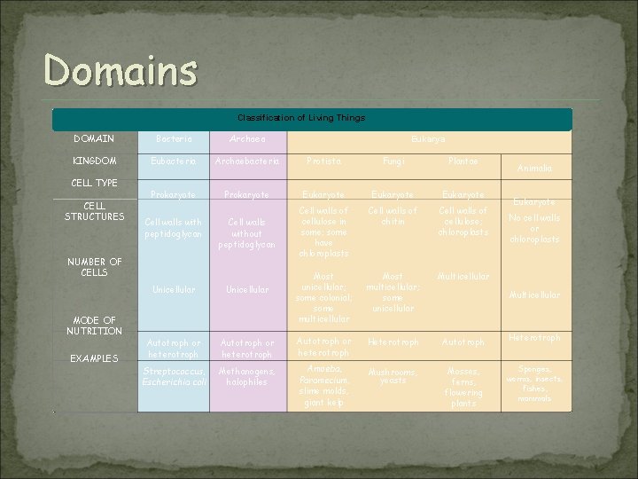 Domains Classification of Living Things DOMAIN Bacteria Archaea KINGDOM Eubacteria Archaebacteria Protista Fungi Plantae