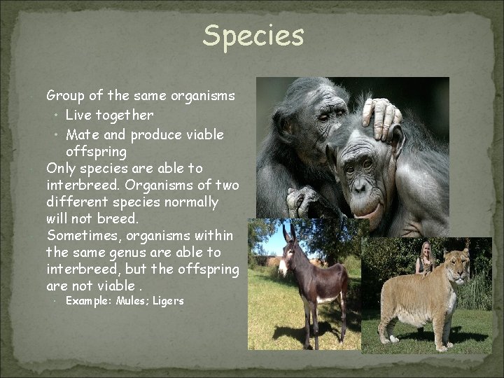 Species Group of the same organisms • Live together • Mate and produce viable