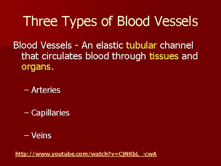 Three Types of Blood Vessels - An elastic tubular channel that circulates blood through