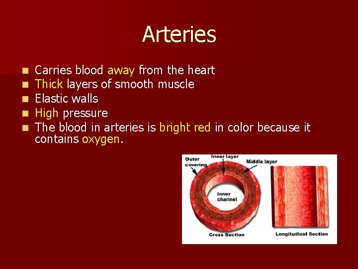 Arteries n n n Carries blood away from the heart Thick layers of smooth
