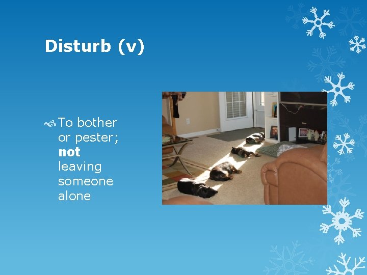 Disturb (v) To bother or pester; not leaving someone alone 