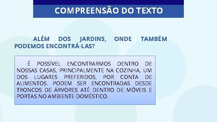 COMPREENSÃO DO TEXTO ALÉM DOS JARDINS, PODEMOS ENCONTRÁ-LAS? ONDE TAMBÉM É POSSÍVEL ENCONTRARMOS DENTRO
