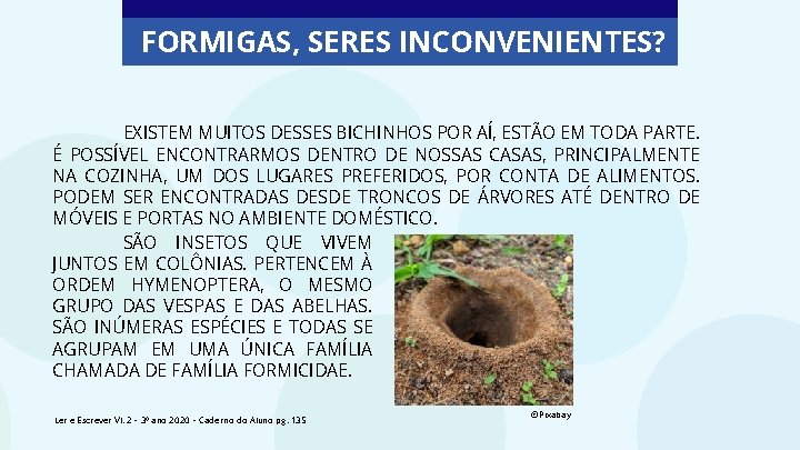 FORMIGAS, SERES INCONVENIENTES? EXISTEM MUITOS DESSES BICHINHOS POR AÍ, ESTÃO EM TODA PARTE. É