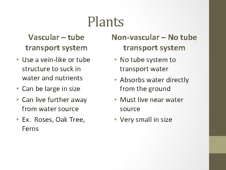 Plants Vascular – tube transport system • Use a vein-like or tube structure to