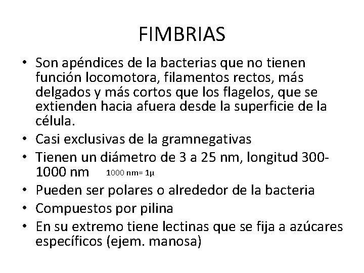 FIMBRIAS • Son apéndices de la bacterias que no tienen función locomotora, filamentos rectos,