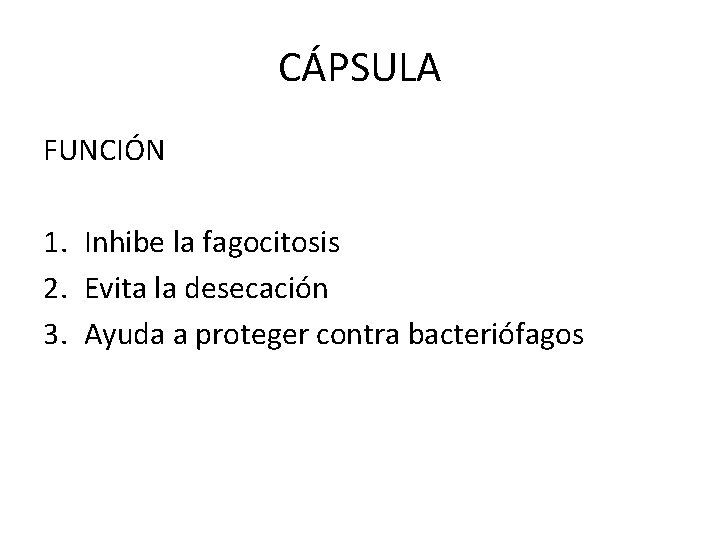 CÁPSULA FUNCIÓN 1. Inhibe la fagocitosis 2. Evita la desecación 3. Ayuda a proteger