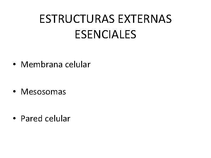 ESTRUCTURAS EXTERNAS ESENCIALES • Membrana celular • Mesosomas • Pared celular 