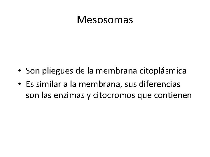 Mesosomas • Son pliegues de la membrana citoplásmica • Es similar a la membrana,