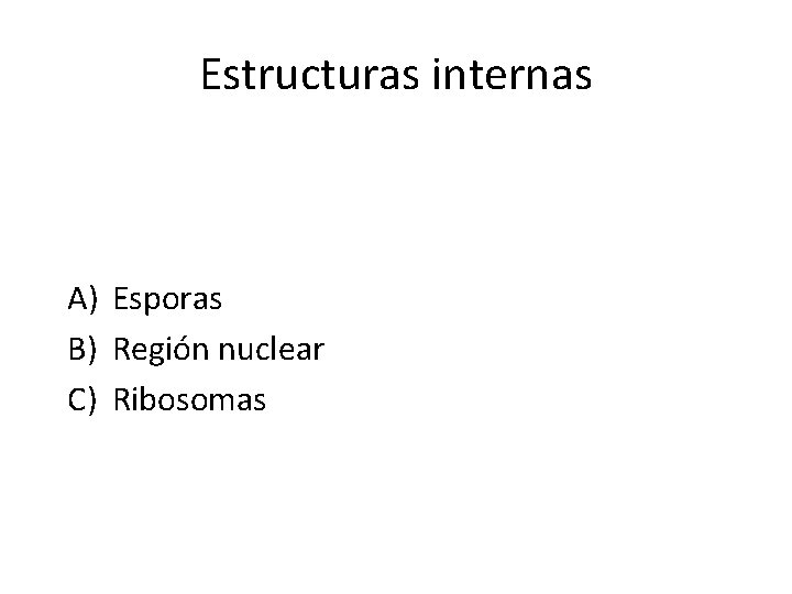 Estructuras internas A) Esporas B) Región nuclear C) Ribosomas 