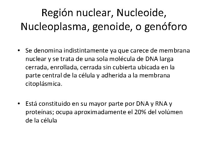 Región nuclear, Nucleoide, Nucleoplasma, genoide, o genóforo • Se denomina indistintamente ya que carece