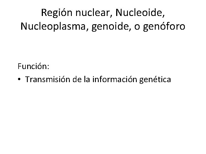 Región nuclear, Nucleoide, Nucleoplasma, genoide, o genóforo Función: • Transmisión de la información genética
